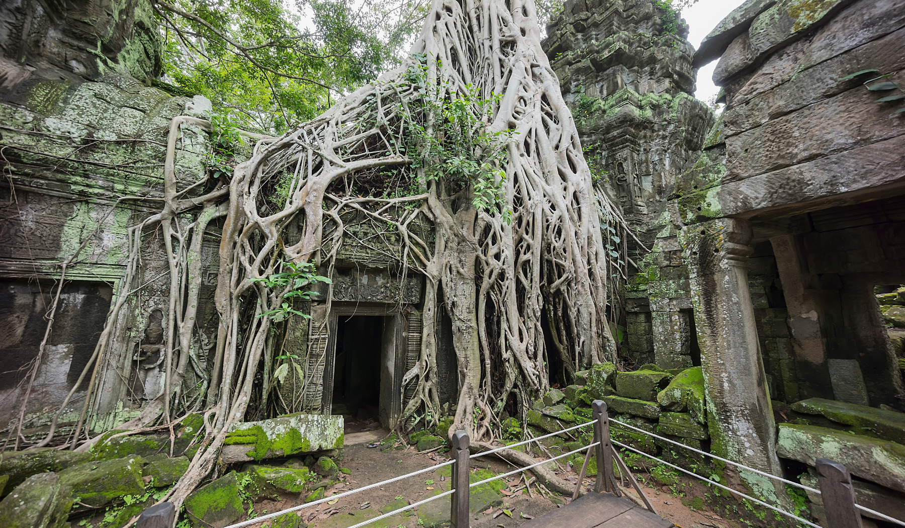Angkor Wat dans la jungle