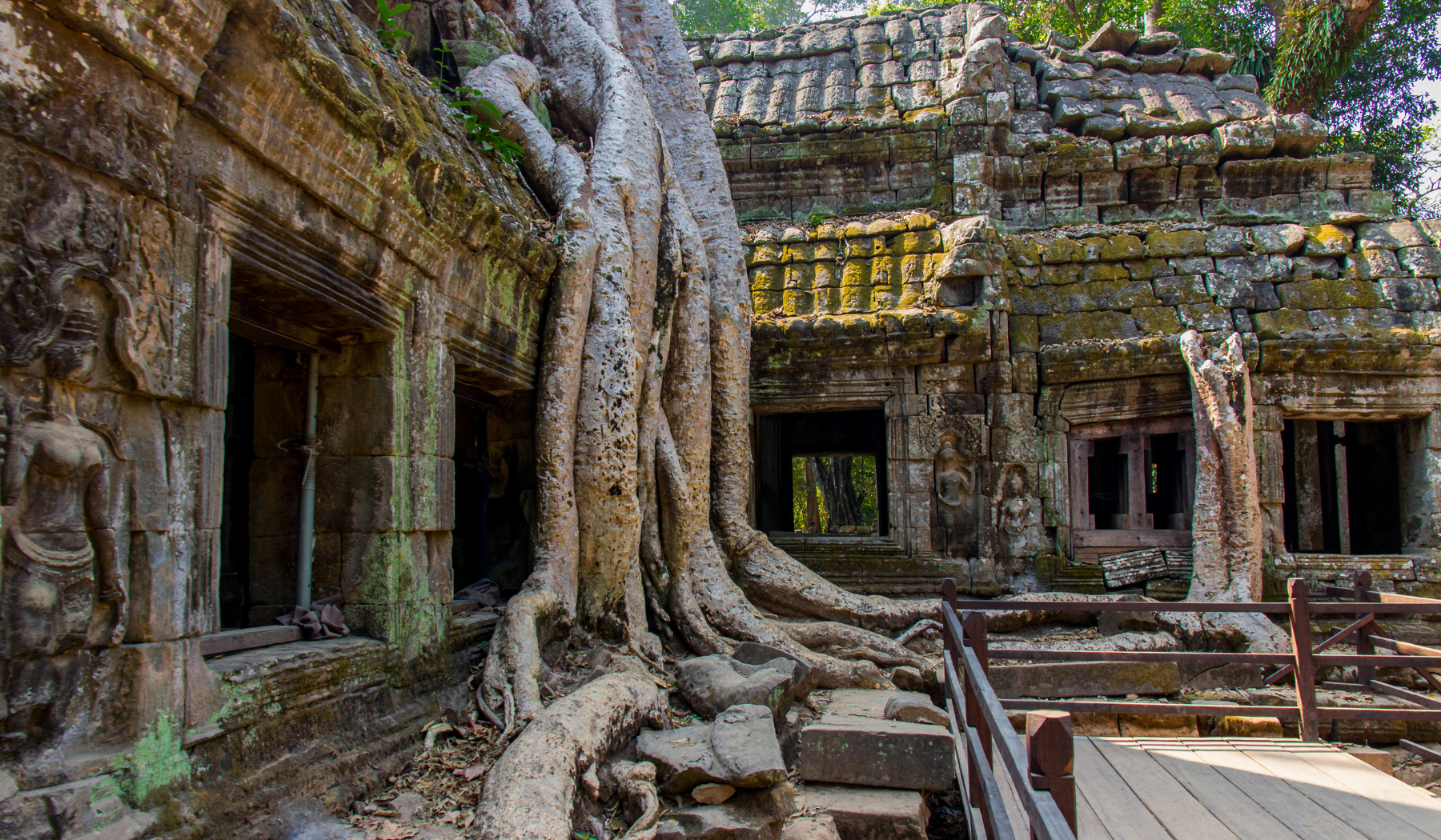 Ta Prohm à Angkor Wat