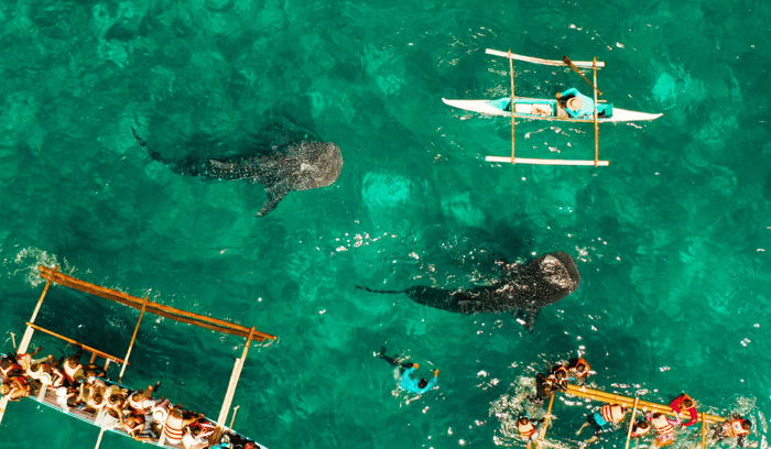 ASI - Best beaches Philippines - Oslob