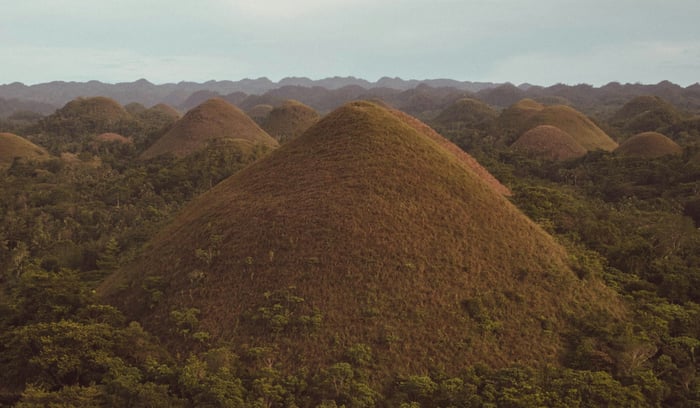  Jungle & plongée à Bohol