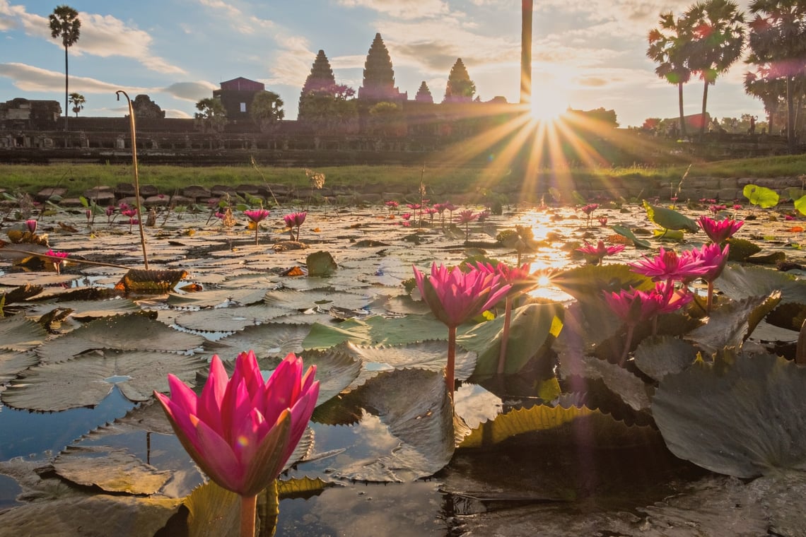 Angkor Wat cambodia lotus