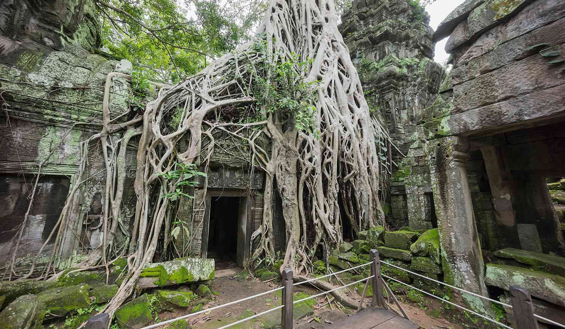 angkor wat