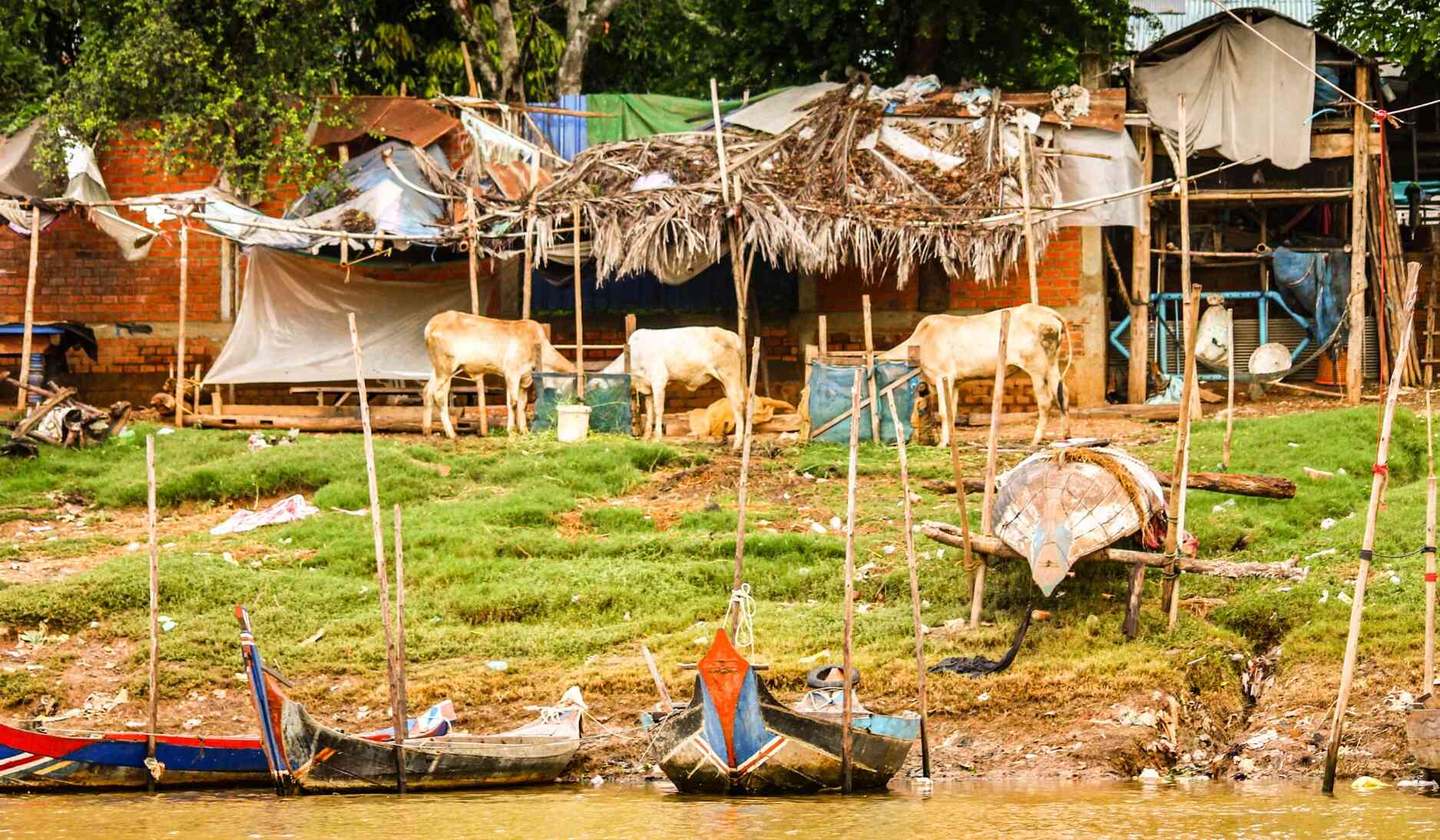 Tonle Sap lac