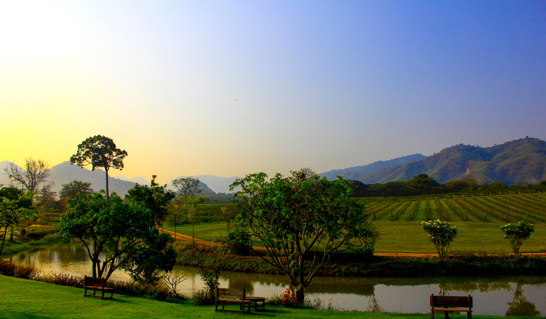 PB_valley_region_viticole_khao_yai_thailande